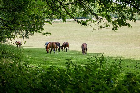 0919 -  filming photoshoot location-117