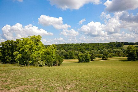 0919 -  filming photoshoot location-119