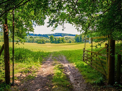 0919 -  filming photoshoot location-120