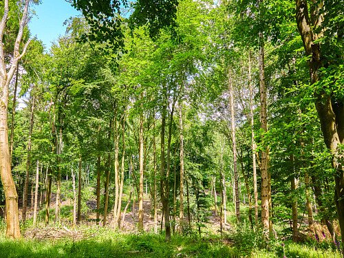 0919 -  filming photoshoot location-122