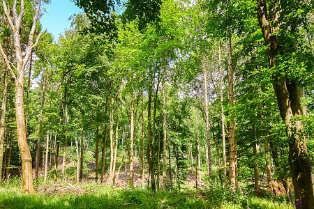 0919 -  filming photoshoot location-122