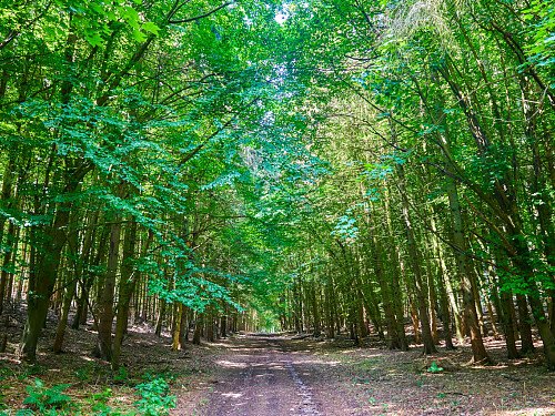 0919 -  filming photoshoot location-121