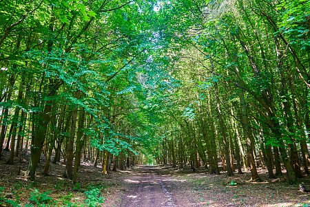 0919 -  filming photoshoot location-121