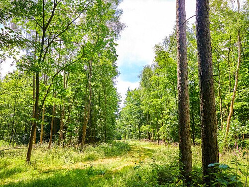 0919 -  filming photoshoot location-124