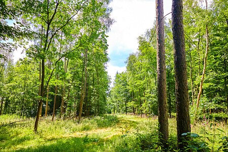 0919 -  filming photoshoot location-124