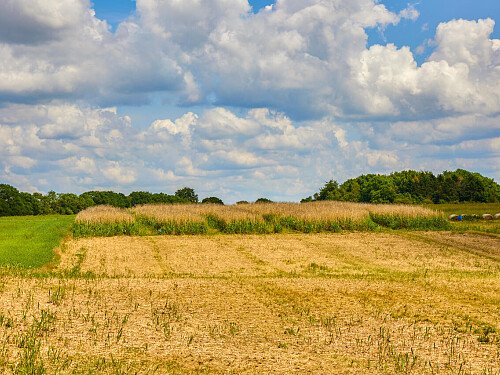 0919 -  filming photoshoot location-125