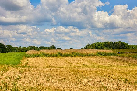 0919 -  filming photoshoot location-125