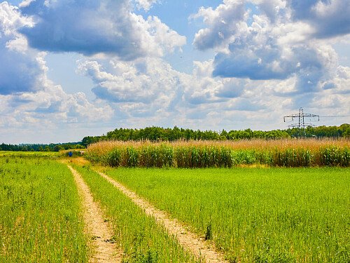 0919 -  filming photoshoot location-126