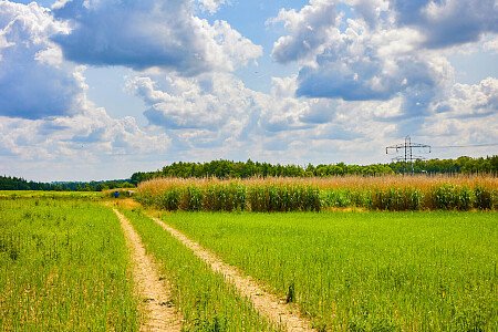 0919 -  filming photoshoot location-126