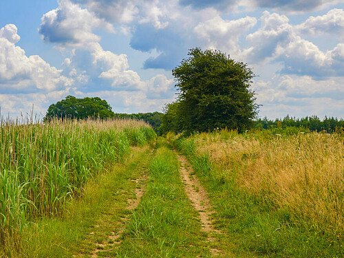 0919 -  filming photoshoot location-128