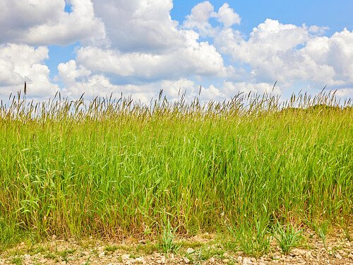 0919 -  filming photoshoot location-127