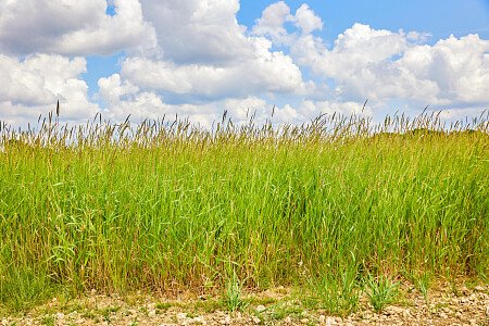 0919 -  filming photoshoot location-127