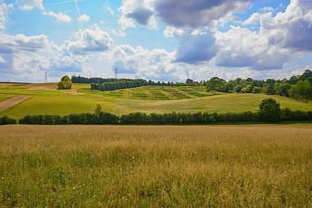 0919 -  filming photoshoot location-129