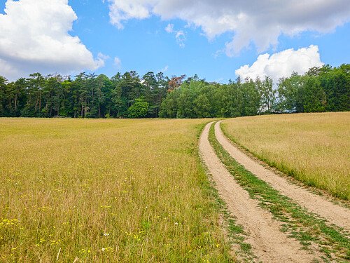 0919 -  filming photoshoot location-130