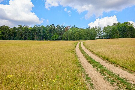 0919 -  filming photoshoot location-130