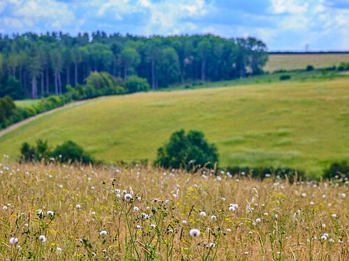 0919 -  filming photoshoot location-131