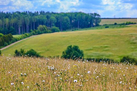 0919 -  filming photoshoot location-131