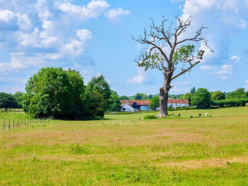 0919 -  filming photoshoot location-137