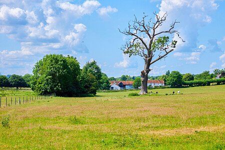 0919 -  filming photoshoot location-137