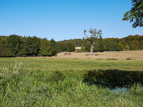 0919 -  filming photoshoot location-140