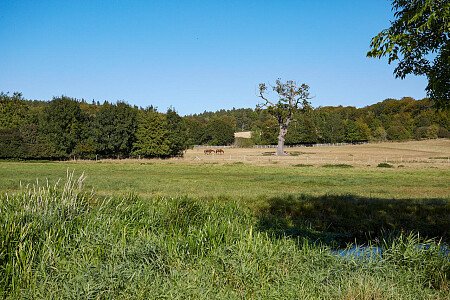 0919 -  filming photoshoot location-140