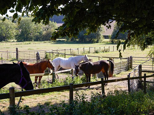 0919 -  filming photoshoot location-139