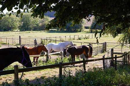 0919 -  filming photoshoot location-139