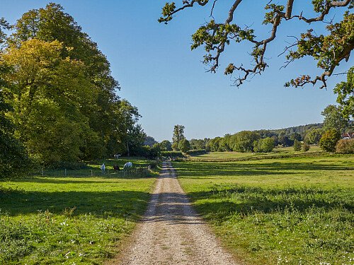 0919 -  filming photoshoot location-146