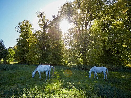 0919 -  filming photoshoot location-147