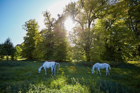 0919 -  filming photoshoot location-147