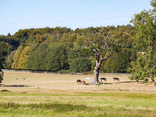 0919 -  filming photoshoot location-149