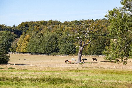 0919 -  filming photoshoot location-149