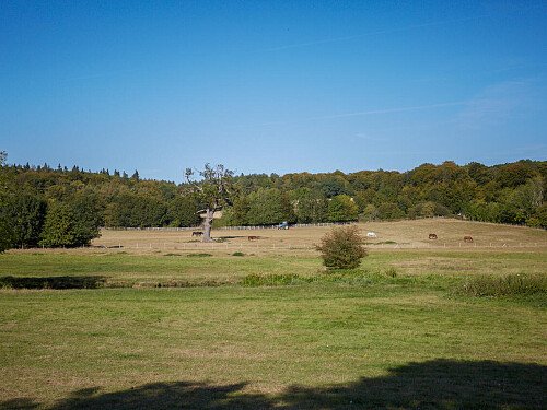 0919 -  filming photoshoot location-151