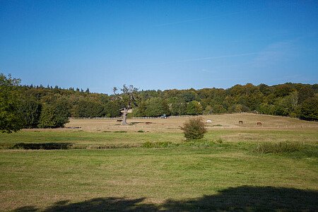 0919 -  filming photoshoot location-151