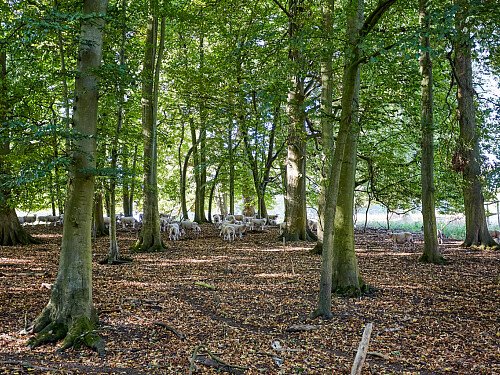 0919 -  filming photoshoot location-154