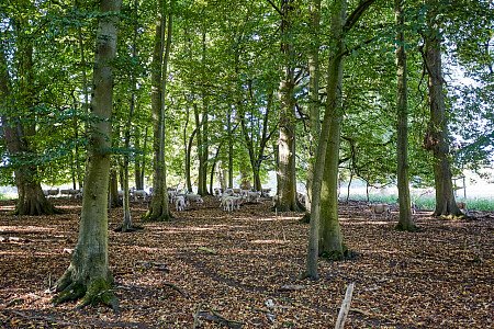 0919 -  filming photoshoot location-154