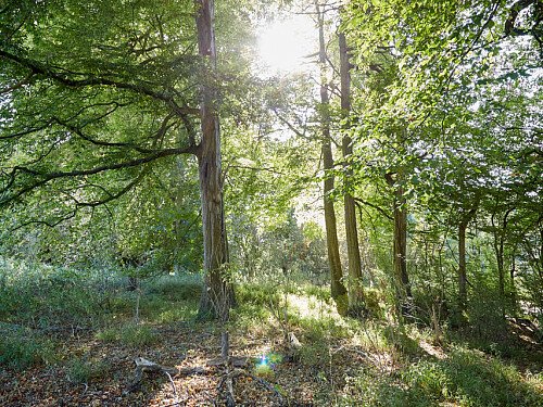 0919 -  filming photoshoot location-159