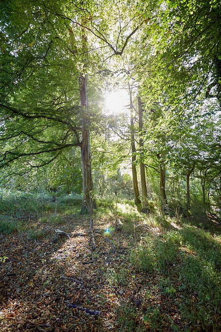 0919 -  filming photoshoot location-159