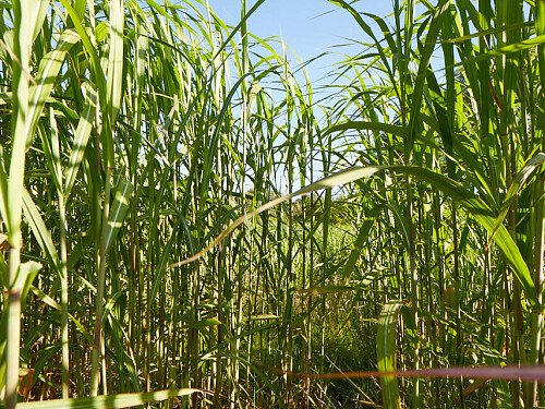 0919 -  filming photoshoot location-166