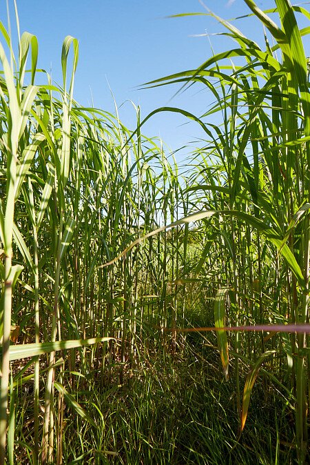 0919 -  filming photoshoot location-166