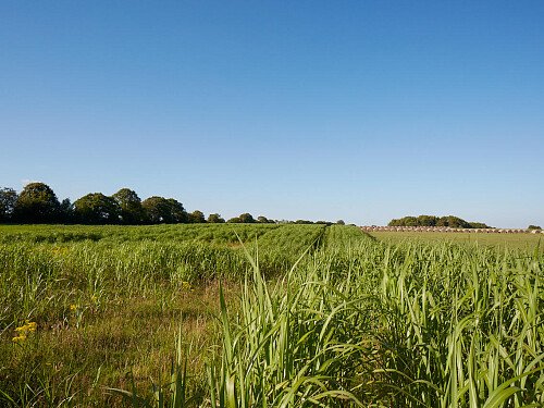 0919 -  filming photoshoot location-167