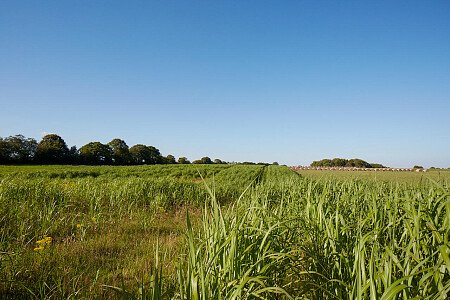 0919 -  filming photoshoot location-167