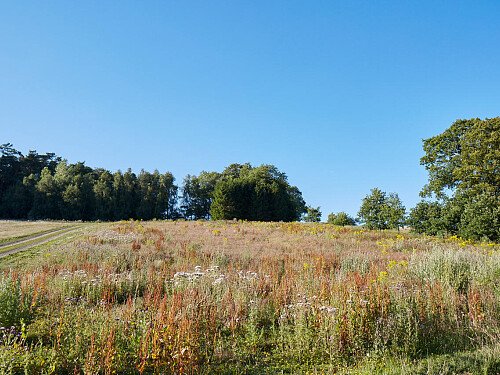 0919 -  filming photoshoot location-169