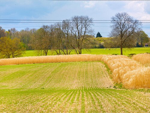 0919 -  filming photoshoot location-170