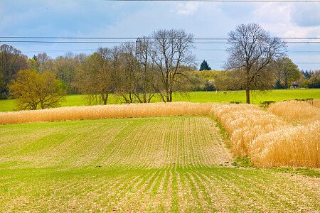 0919 -  filming photoshoot location-170