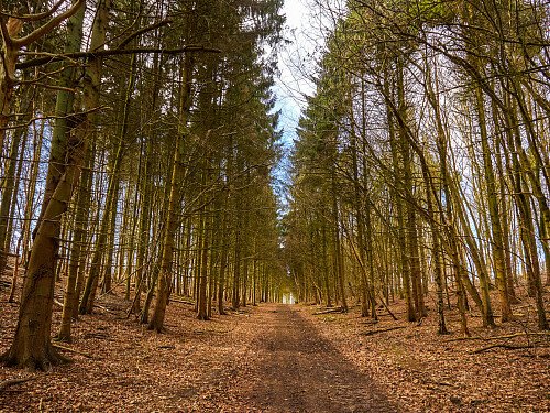 0919 -  filming photoshoot location-176