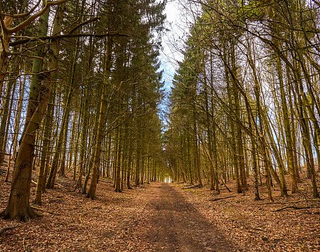 0919 -  filming photoshoot location-176