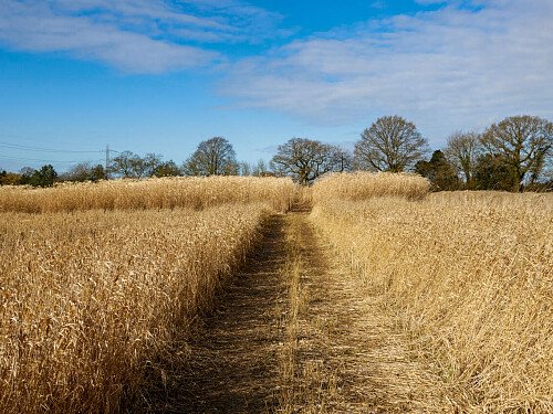 0919 -  filming photoshoot location-177