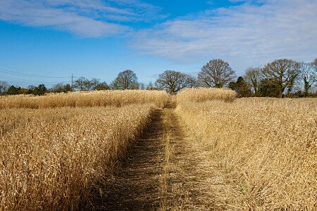 0919 -  filming photoshoot location-177