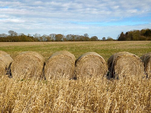 0919 -  filming photoshoot location-178